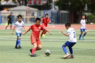 独家揭秘,国足新帅之,争白热化,MG,MG平台,MG官网,MG,MG百家乐,MG